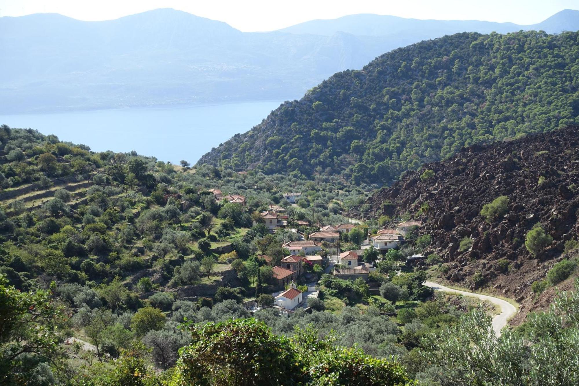 Studio In Villa In Kalloni Direkt Am Meer Exteriör bild